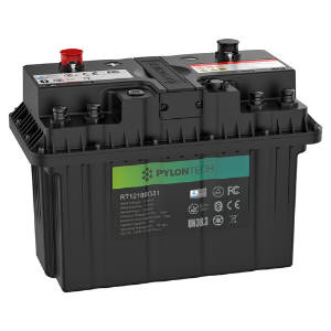 PYLONTECH RT12100G31